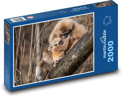 Gibbon - Puzzle 2000 elementów, rozmiar 90x60 cm