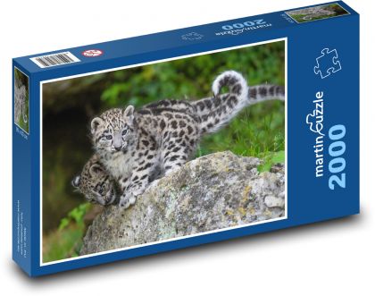 Leopard cubs - Puzzle 2000 pieces, size 90x60 cm 