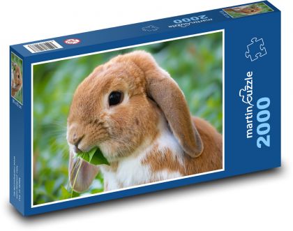 Králik - Puzzle 2000 dielikov, rozmer 90x60 cm 