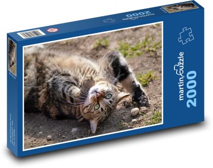 Katze - Puzzle - 2000 Teile