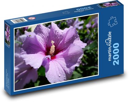 Hibiskus purpurowy - Puzzle 2000 elementów, rozmiar 90x60 cm