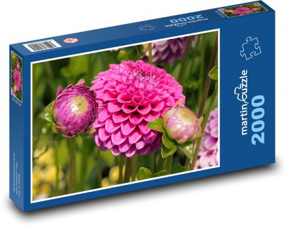 Jiřina - puzzle 2000 dílků