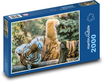 Playful tiger cub - Puzzle 2000 pieces, size 90x60 cm 