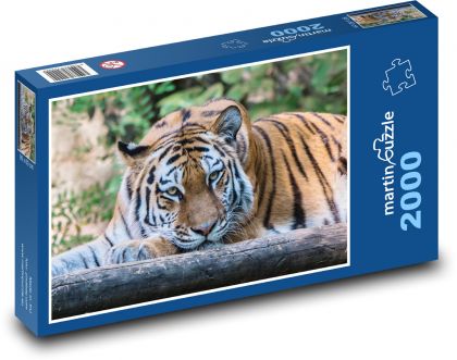 Dschungelkönig: Tiger - Puzzle - 2000 Teile