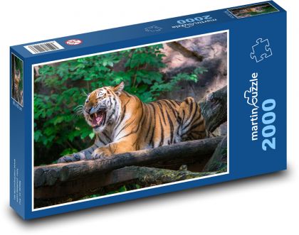 Tiger - Puzzle 2000 pieces, size 90x60 cm 