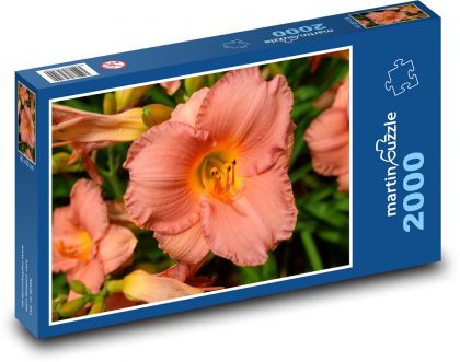 Daylily flower - Puzzle 2000 pieces, size 90x60 cm 