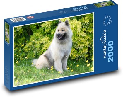 Hund - Haustier - Puzzle - 2000 Teile