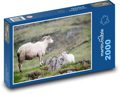 Ovce - puzzle 2000 dílků