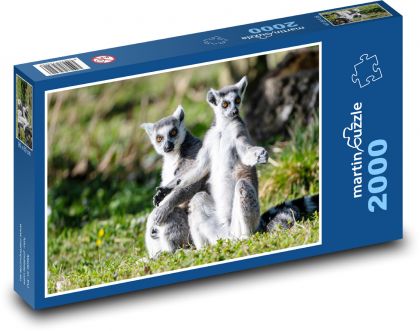 Lemur - Puzzle 2000 pieces, size 90x60 cm 