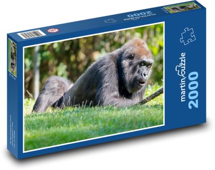 Gorila. - Puzzle 2000 dielikov, rozmer 90x60 cm 