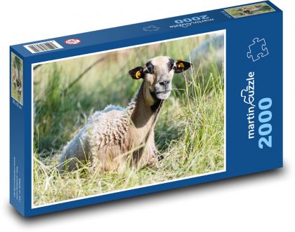 Schaf - Puzzle - 2000 Teile
