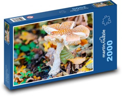 Muchotrávka - Puzzle 2000 dielikov, rozmer 90x60 cm 