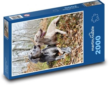 Psy - Puzzle 2000 elementów, rozmiar 90x60 cm