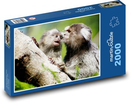 Affe - Puzzle - 2000 Teile