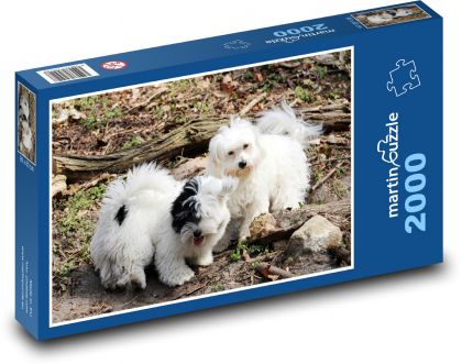 Puppy - štěně - Puzzle 2000 dílků, rozměr 90x60 cm