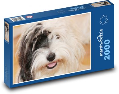 Pes, portrét - puzzle 2000 dílků
