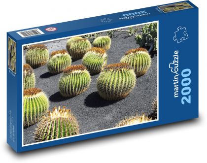 Kaktusová záhrada - Lanzarote - Puzzle 2000 dielikov, rozmer 90x60 cm 