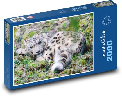 Odpočívajúci leopard - Puzzle 2000 dielikov, rozmer 90x60 cm 