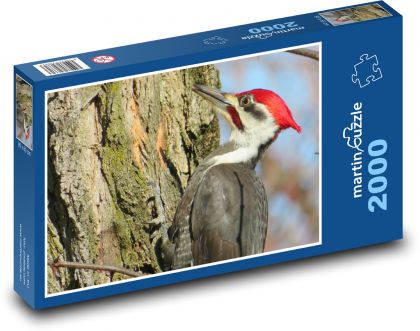Dzięcioł - Puzzle 2000 elementów, rozmiar 90x60 cm