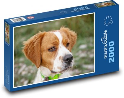 Hund - Puzzle - 2000 Teile