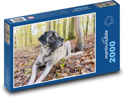 Pes v lese - Puzzle 2000 dielikov, rozmer 90x60 cm 