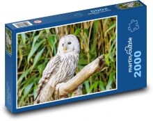 Bílá sova Puzzle 2000 dílků - 90 x 60 cm