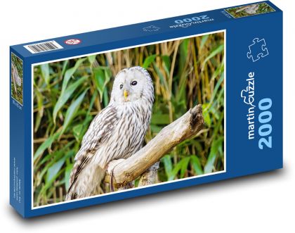 Bílá sova - Puzzle 2000 dílků, rozměr 90x60 cm