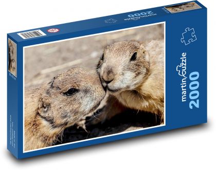 Prairie Dog - Puzzle 2000 pieces, size 90x60 cm 