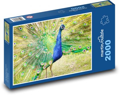 Páv. - Puzzle 2000 dielikov, rozmer 90x60 cm 