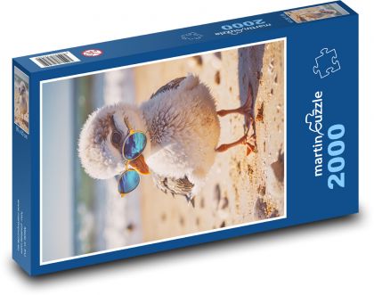 Mewa w okularach na plaży - Puzzle 2000 elementów, rozmiar 90x60 cm