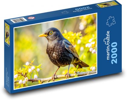 Blackbird - Puzzle 2000 pieces, size 90x60 cm 