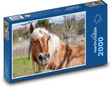 Horse Puzzle 2000 pieces - 90 x 60 cm