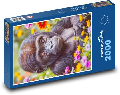 Gorila a květy - puzzle 2000 dílků
