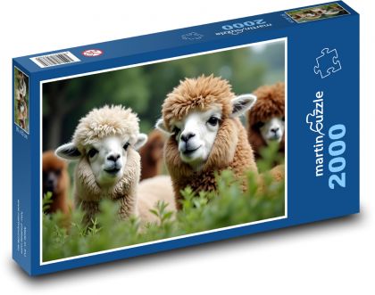 Alpaka - Puzzle 2000 dielikov, rozmer 90x60 cm 
