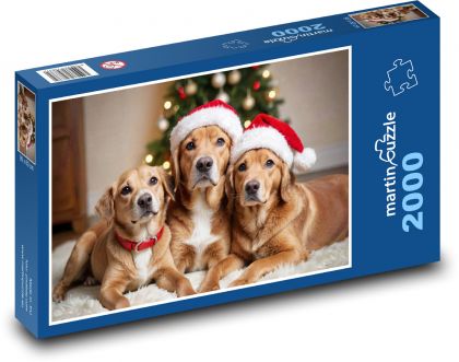 Vánoční fotka - psi - puzzle 2000 dílků