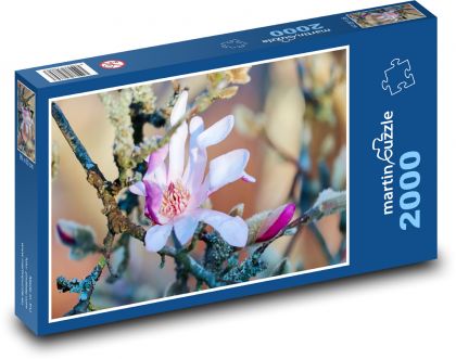 Kwiat magnolii - Puzzle 2000 elementów, rozmiar 90x60 cm