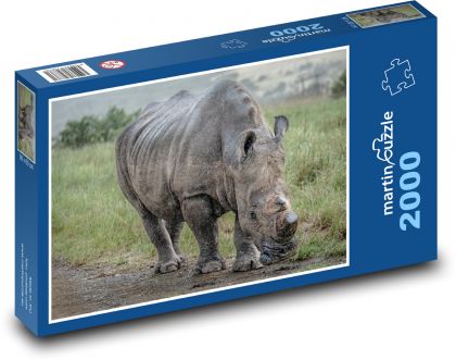Rhinoceros - Puzzle 2000 pieces, size 90x60 cm 