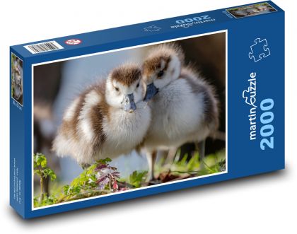 Egypské husy - puzzle 2000 dílků