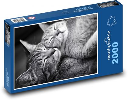 Mačky, čiernobiela fotka - Puzzle 2000 dielikov, rozmer 90x60 cm 