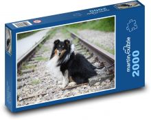 Owczarek szetlandzki Puzzle 2000 elementów - 90x60 cm
