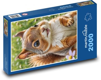 Wiewiórka - Puzzle 2000 elementów, rozmiar 90x60 cm