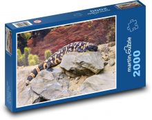 Reptil auf Steinen Puzzle 2000 Teile - 90 x 60 cm