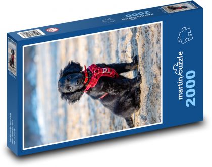 Dog - Puzzle 2000 pieces, size 90x60 cm 