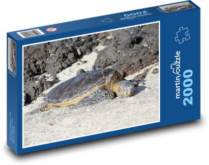 Mořská želva - puzzle 2000 dílků