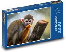Affen Puzzle 2000 Teile - 90 x 60 cm