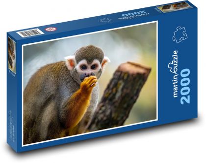 Affen - Puzzle - 2000 Teile