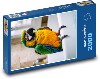 Papoušek - puzzle 2000 dílků