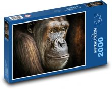Monkey Puzzle 2000 pieces - 90 x 60 cm