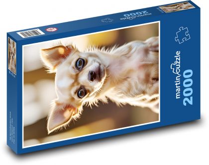 Čivava - Puzzle 2000 dielikov, rozmer 90x60 cm 