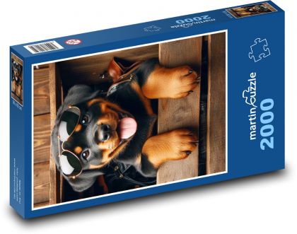 Rotvajler - šteniatko - Puzzle 2000 dielikov, rozmer 90x60 cm 